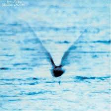Cover of Mellow Dream by Ryo Fukui